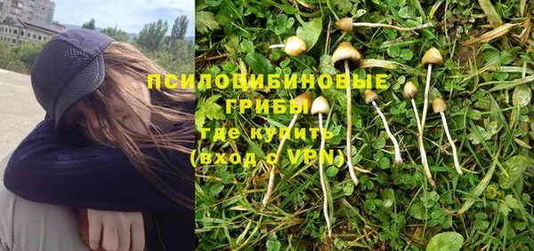 jwh Аркадак